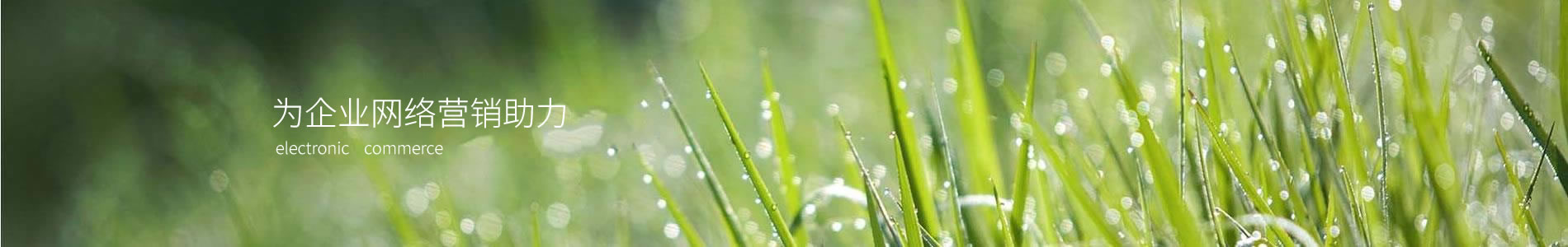 ĳƻƼ޹˾
